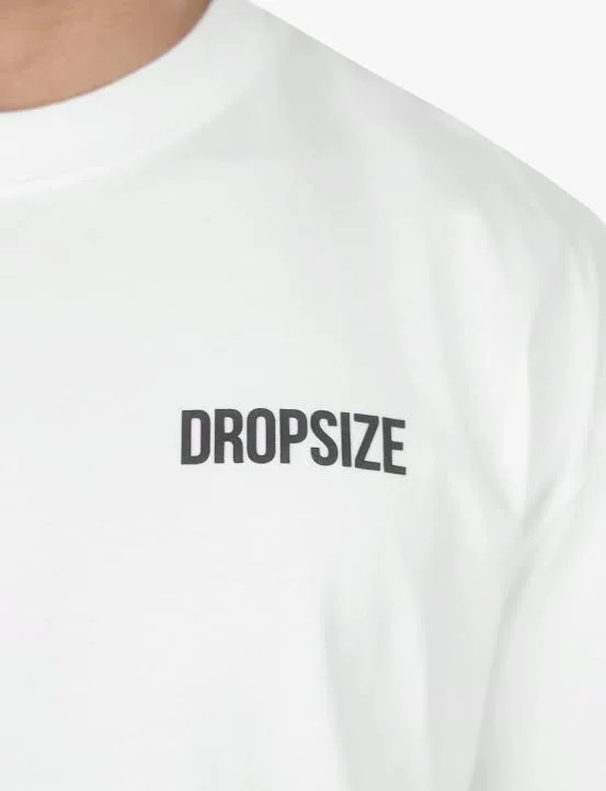 تیشرت مردانه وارداتی برند DROPSIZE