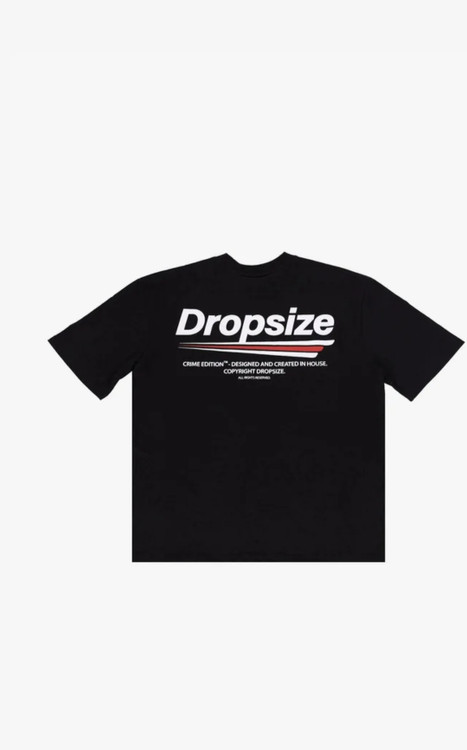 تیشرت مردانه وارداتی برند DROPSIZE